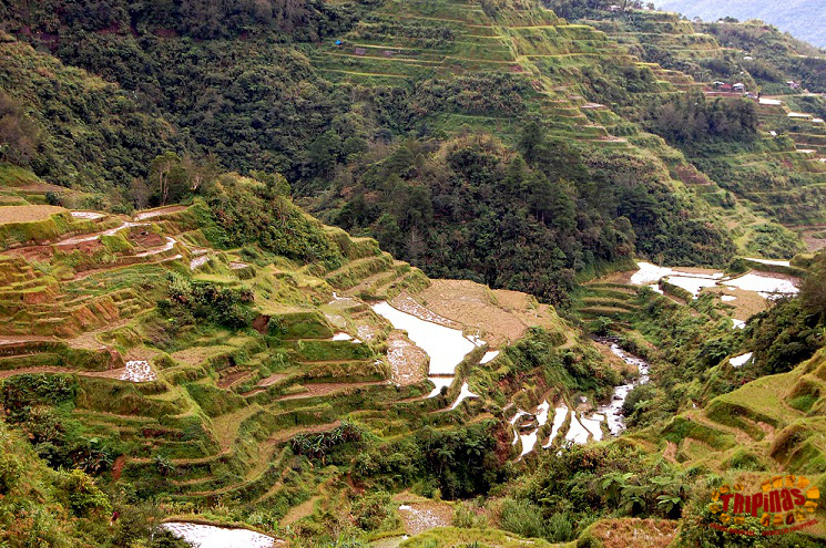 Banaue.jpg