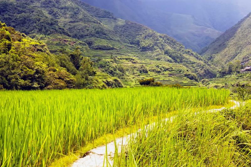 banaue_rice_terraces_sagada_mountain_province_0.jpg